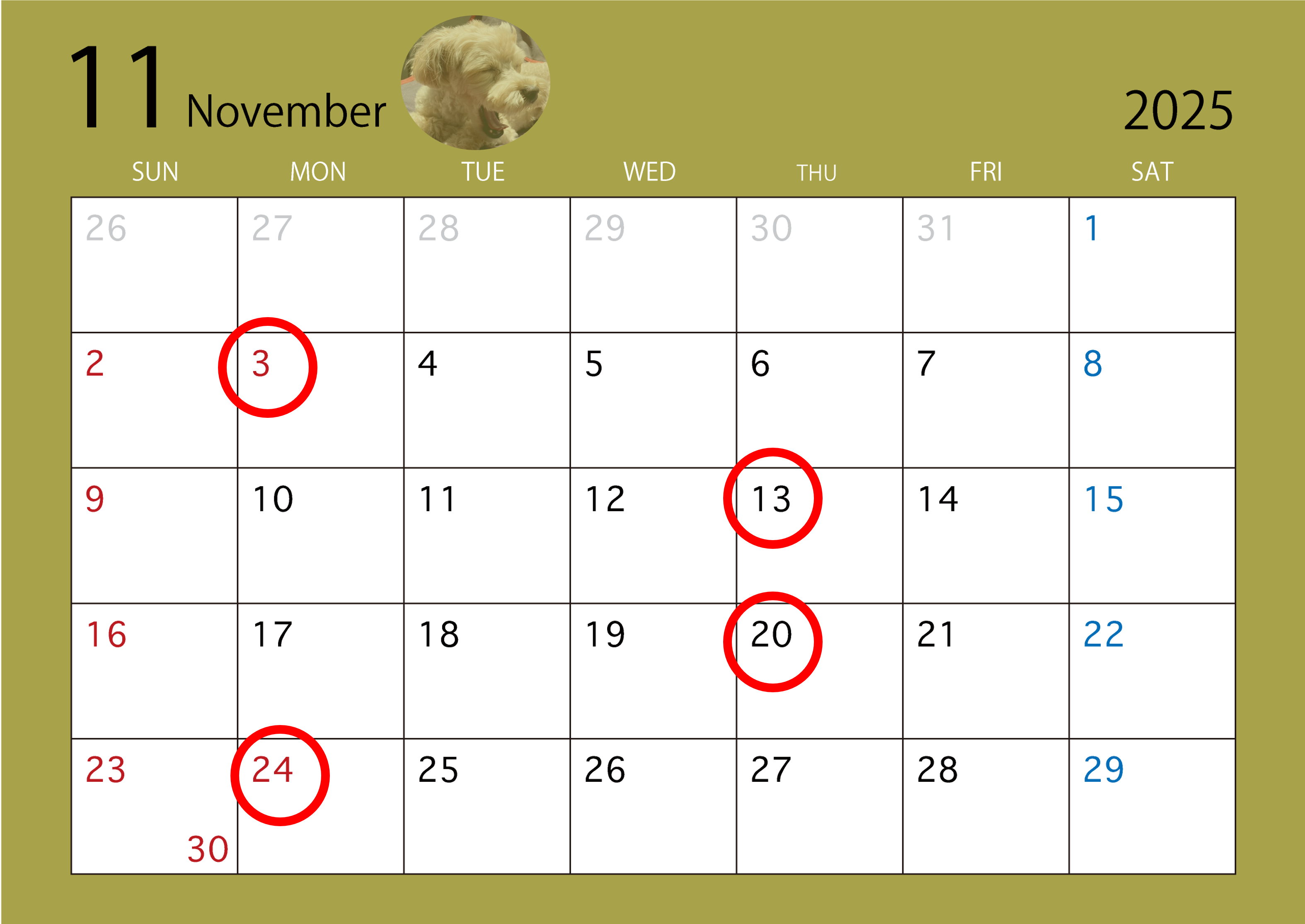 11月