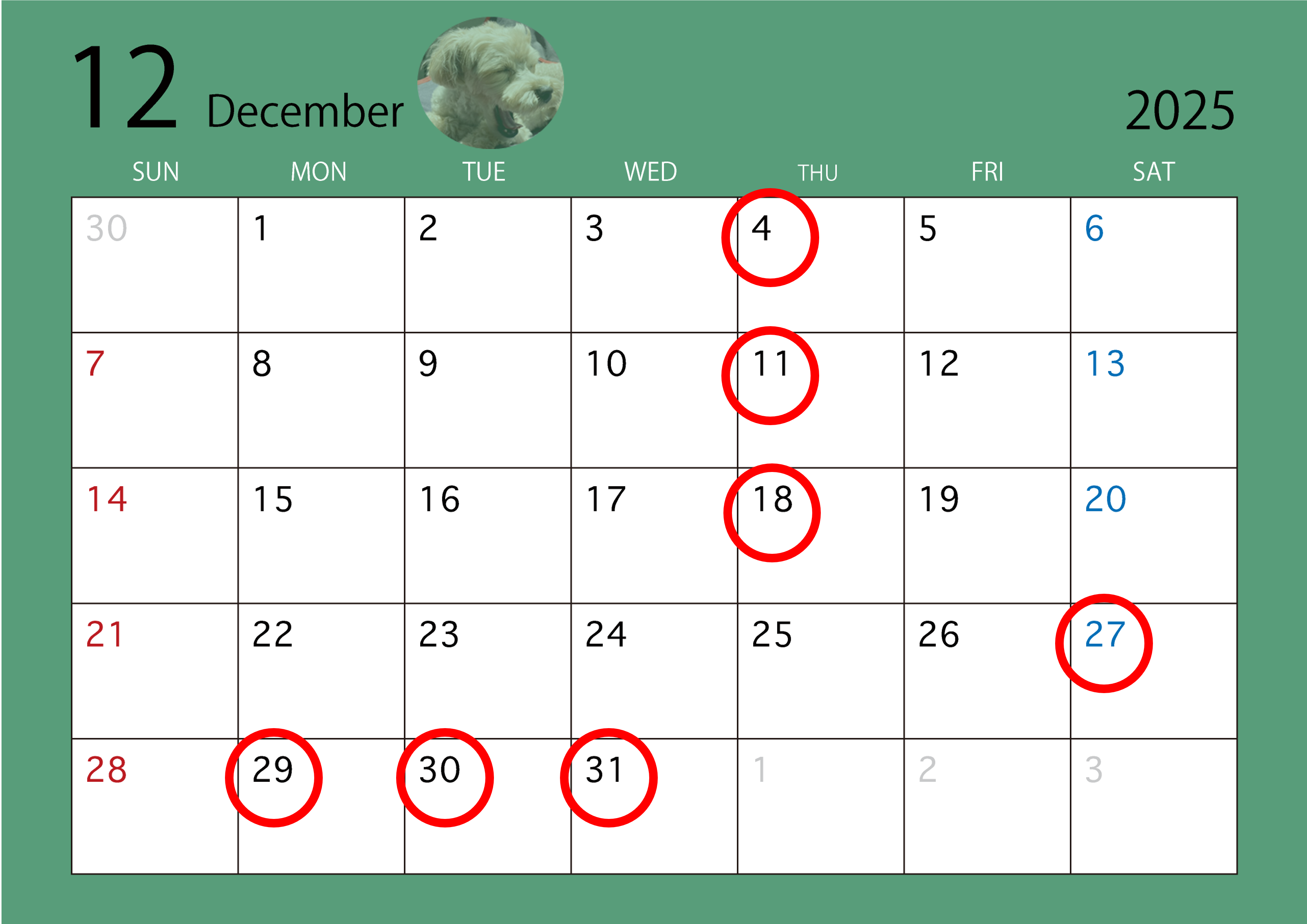 12月