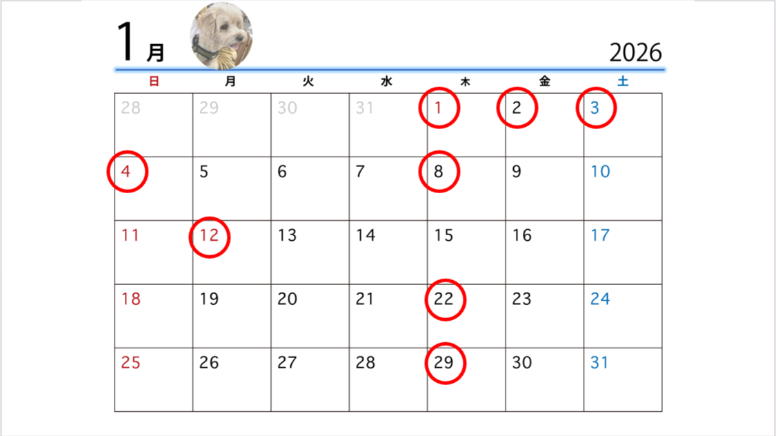 スクリーンショット (1)