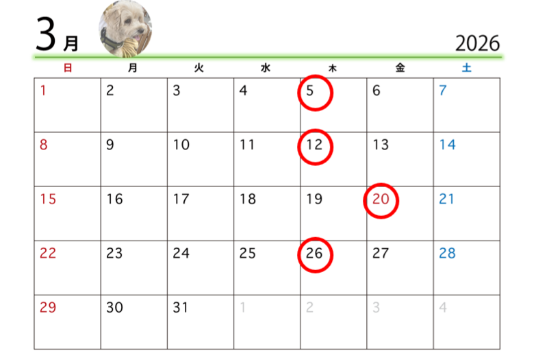 スクリーンショット (3)