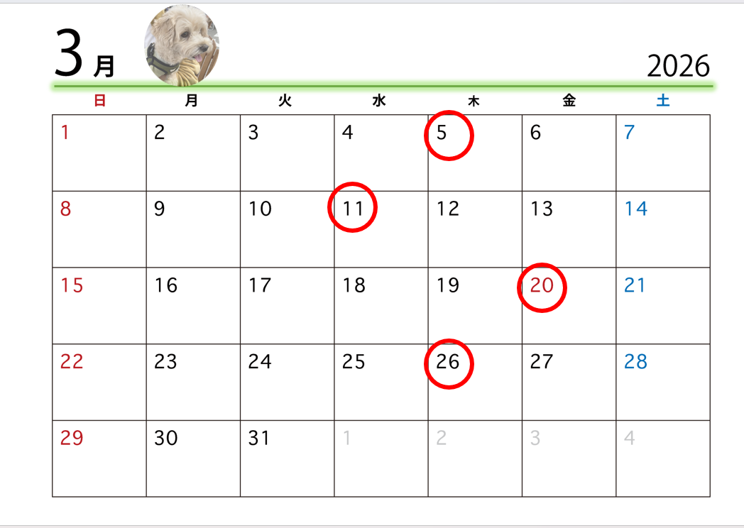 スクリーンショット (4)