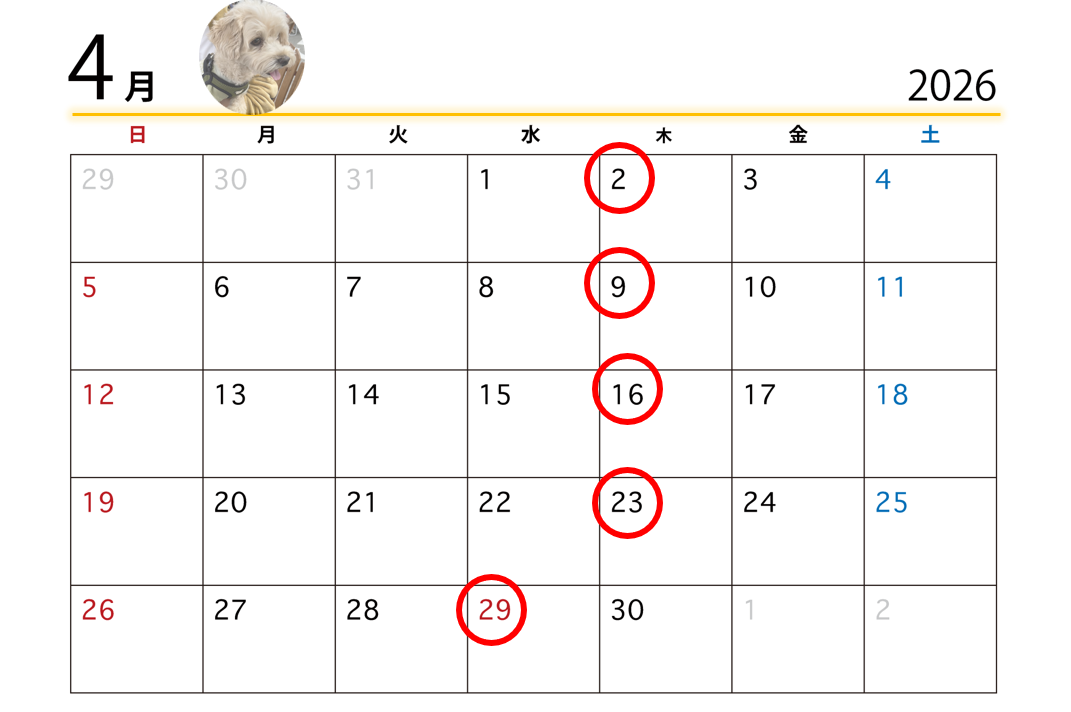 スクリーンショット (5)