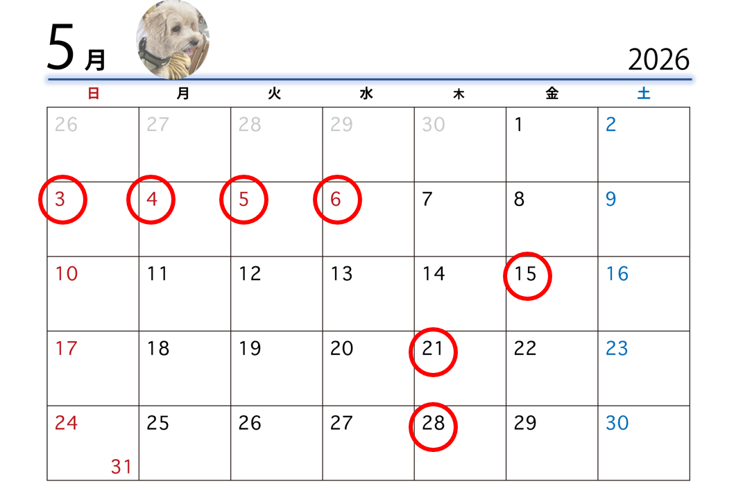 スクリーンショット (6)