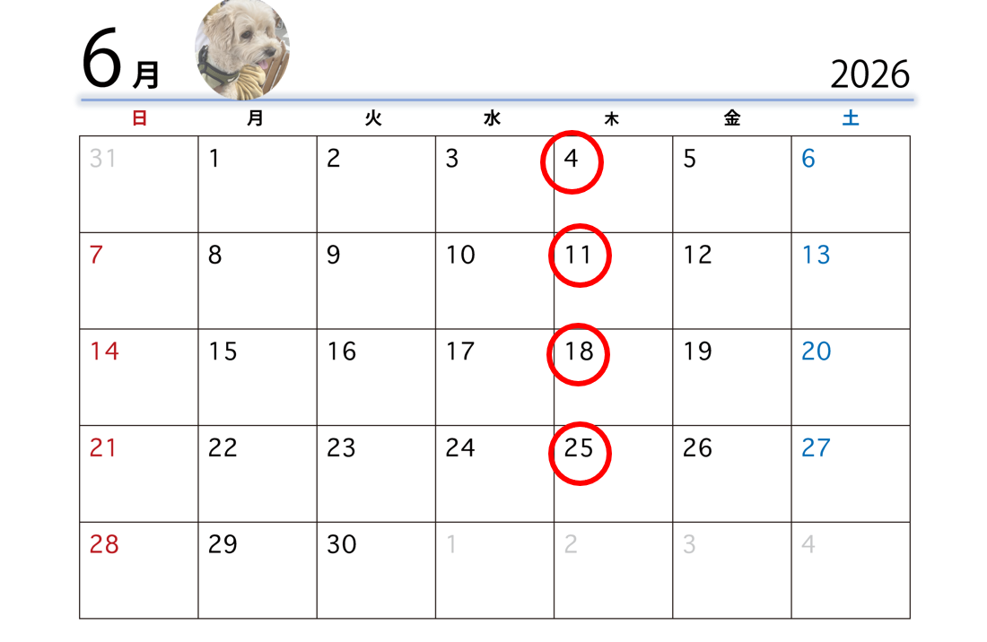 スクリーンショット (7)