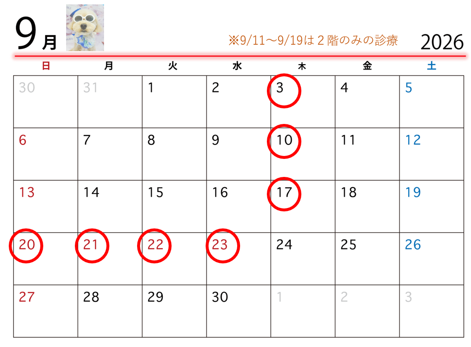 スクリーンショット (10)